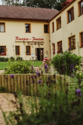 Sport - Relax Buky, Frantiskovy Lazne